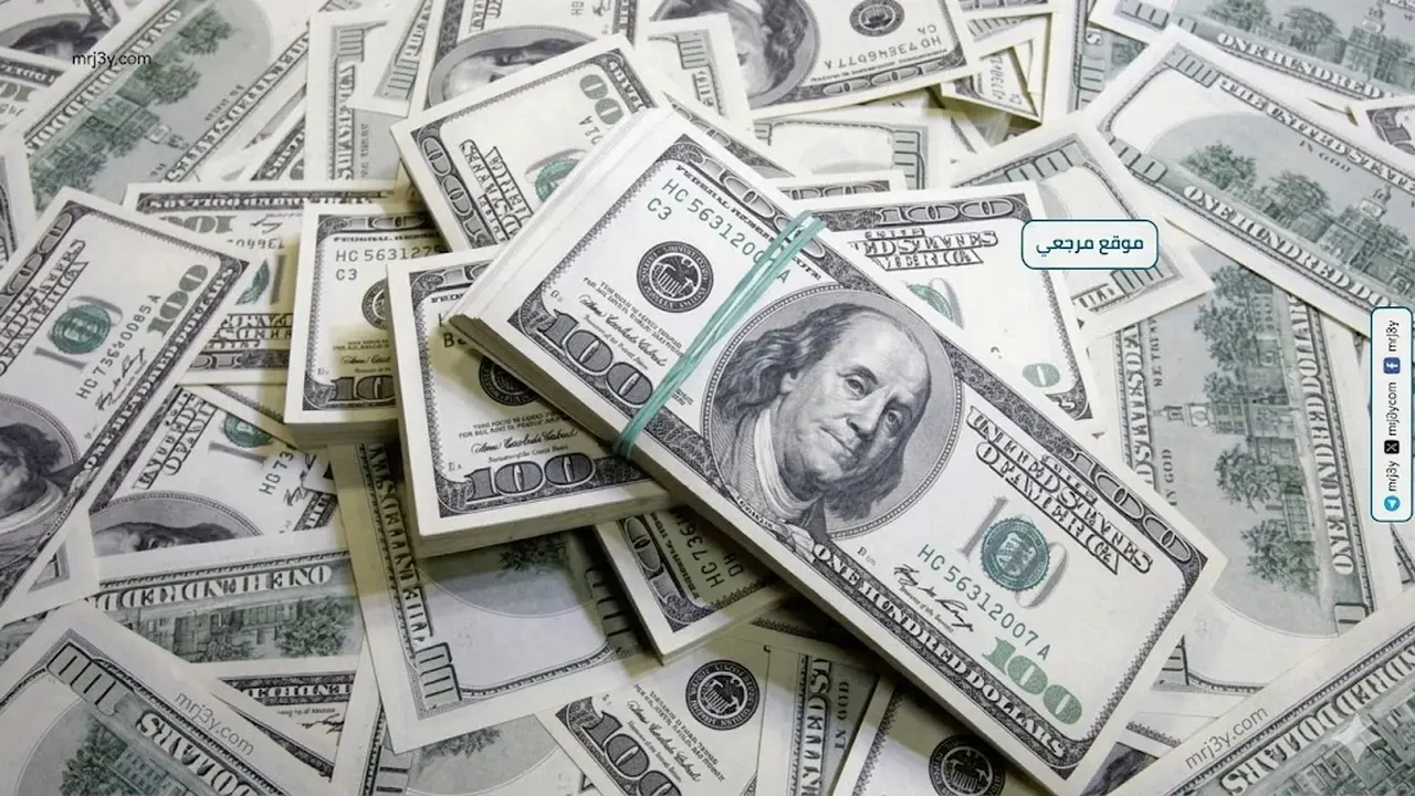 استقرار سعر الدولار أمام الجنيه المصري اليوم الأحد